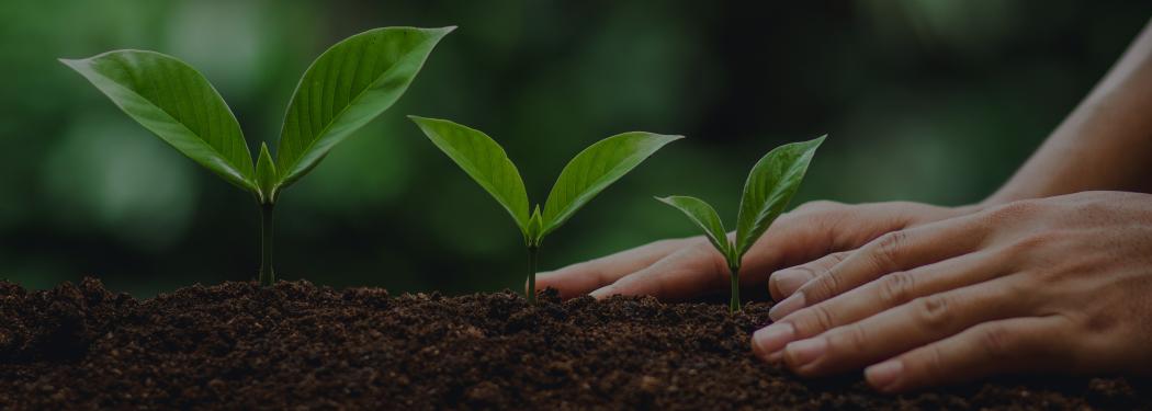 sustainability