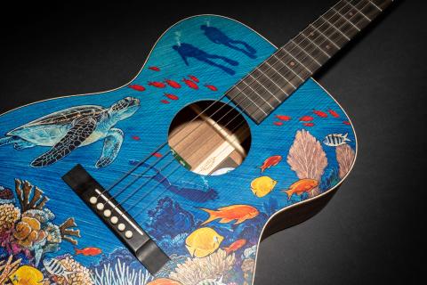 OM Biosphere guitar 