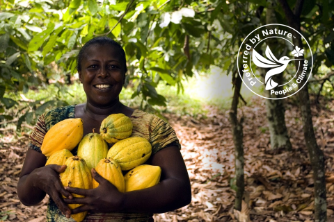 Updates to SFP documents Cacao