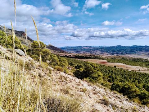 For effective ecosystem restoration, the world needs monitoring and evaluation