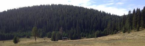 NEPCon is now an FSC certifier