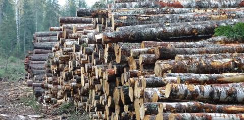 Последние новости о нашем статусе аккредитации в России