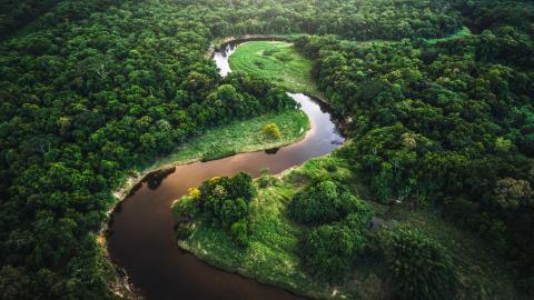 ES mežu izciršanas regulas tuvošanās un tās darbības jomā esošo produktu izsekojamība