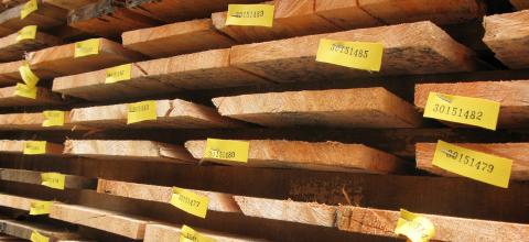 UK: Strong growth in certified timber supply and demands