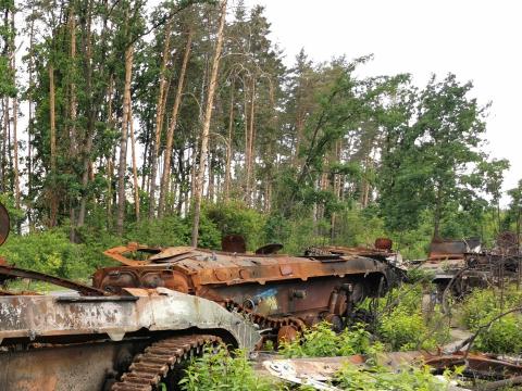 梦想中的绿色乌克兰