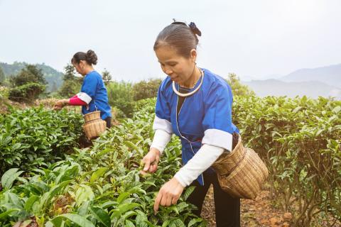 Preferred by Nature es aprobado como certificador en China