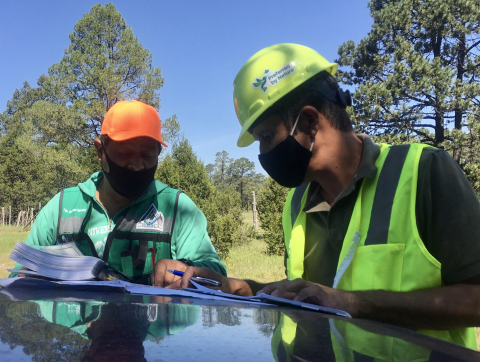 Audit à distance – lorsque l’anormal devient la nouvelle « normalité »