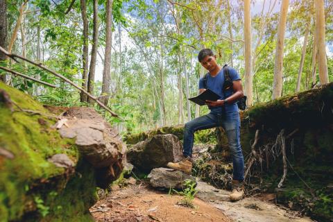 Un nouveau règlement anti-déforestation remplacera l'EUTR