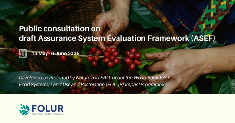 FOLUR-ASEF public consultation-May25 (web).png