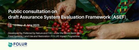 FOLUR-ASEF public consultation-May25 (web).png