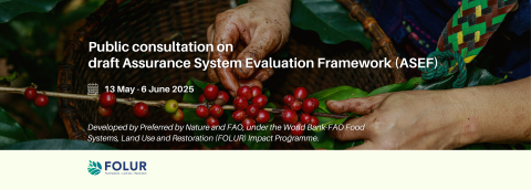 FOLUR-ASEF public consultation-May25 (web).png