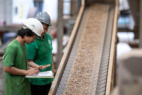 Photo courtesy of PT Parawood