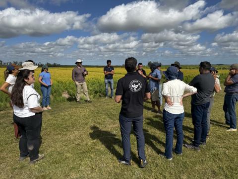 Uruguay hosted a milestone for sustainable rice in the LATAM region with Preferred by Nature