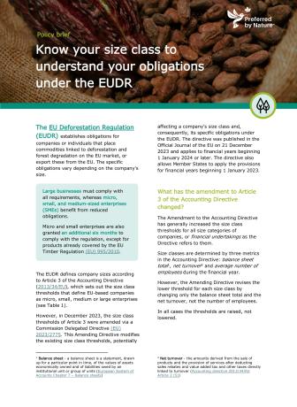 Policy brief: Know your size class to  understand your obligations  under the EUDR
