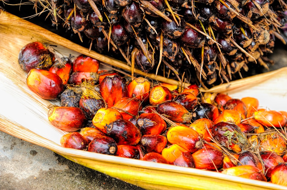 Ojon palm nut oil Preferred by Nature global