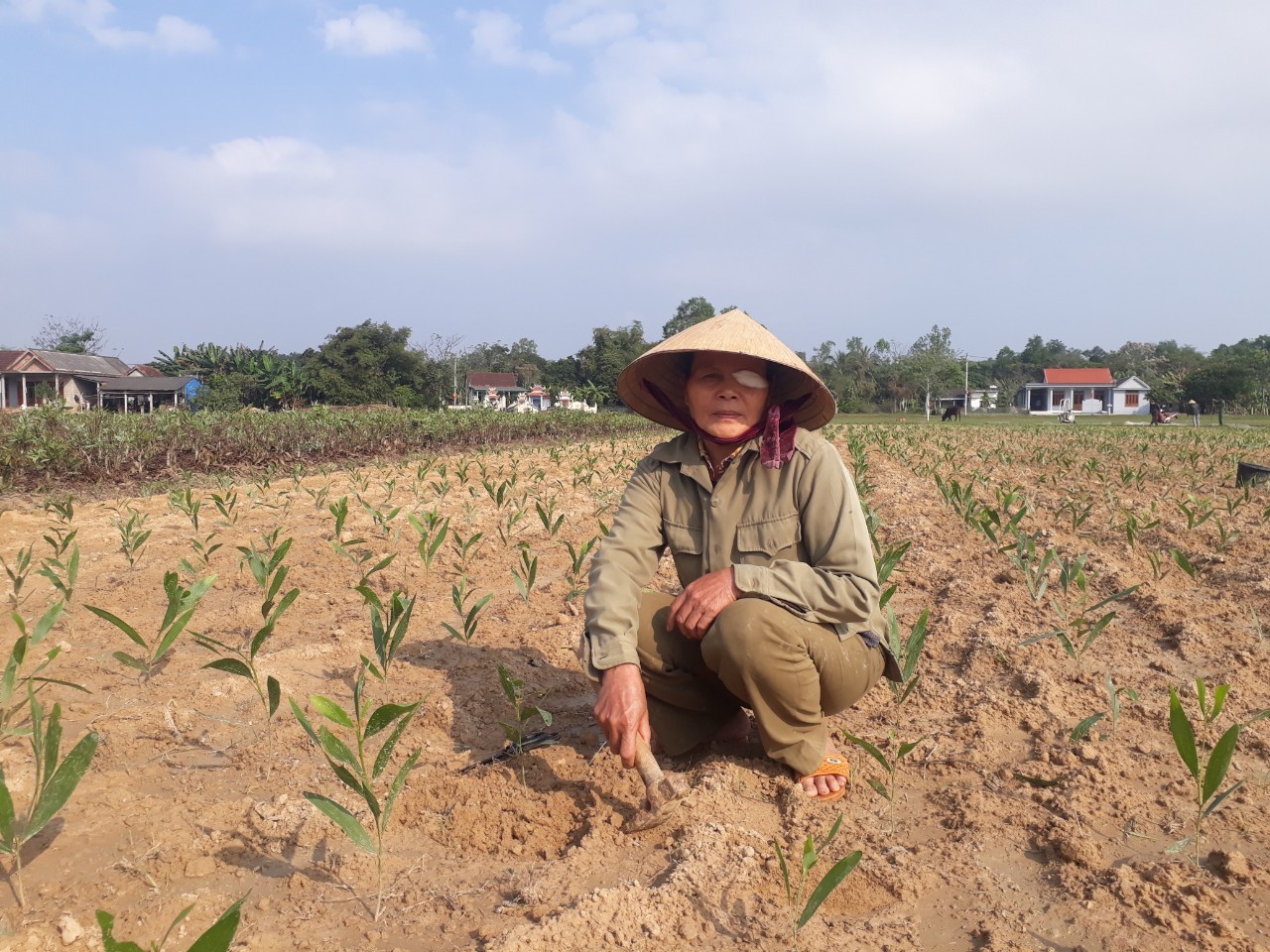 Nguyen Thi Khang works in a tree nursery and is the primary breadwinner of her family. Photo: Thai Thi Huyen Nga