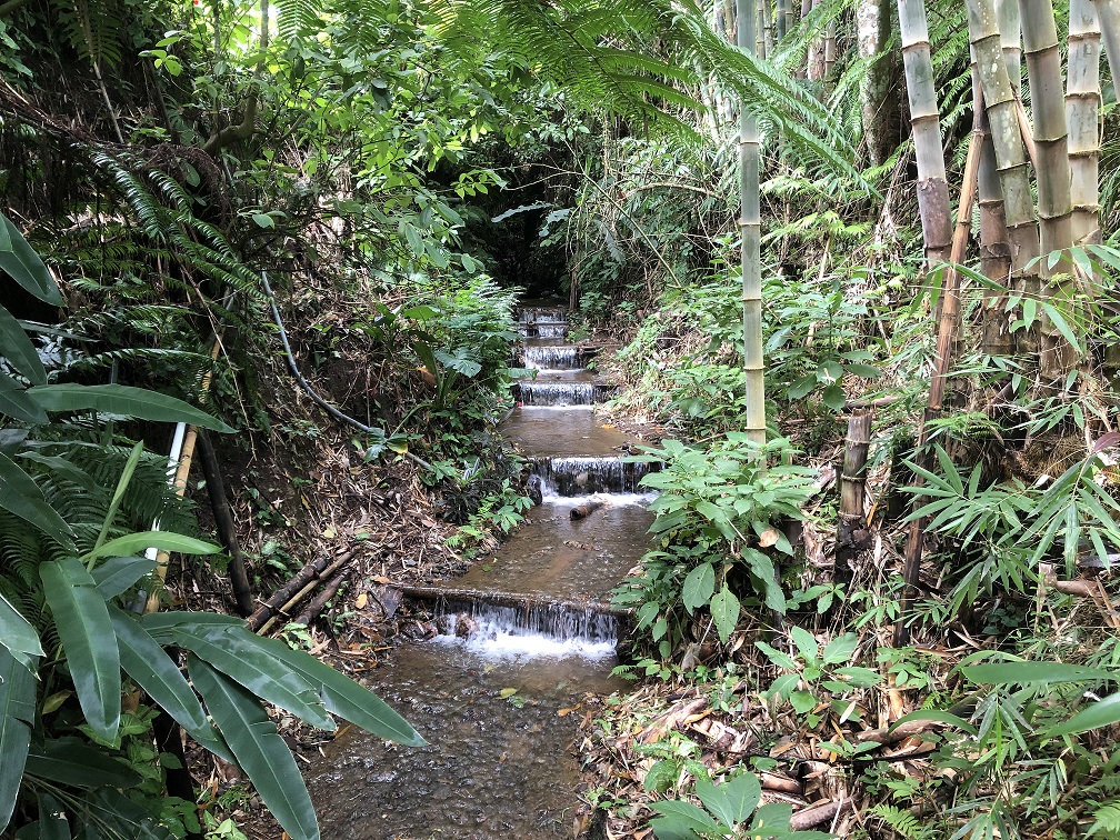 Ecosystem