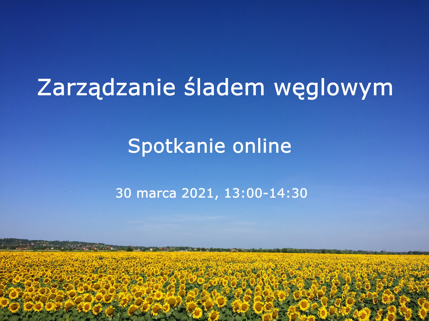 Webinar CFM Polska