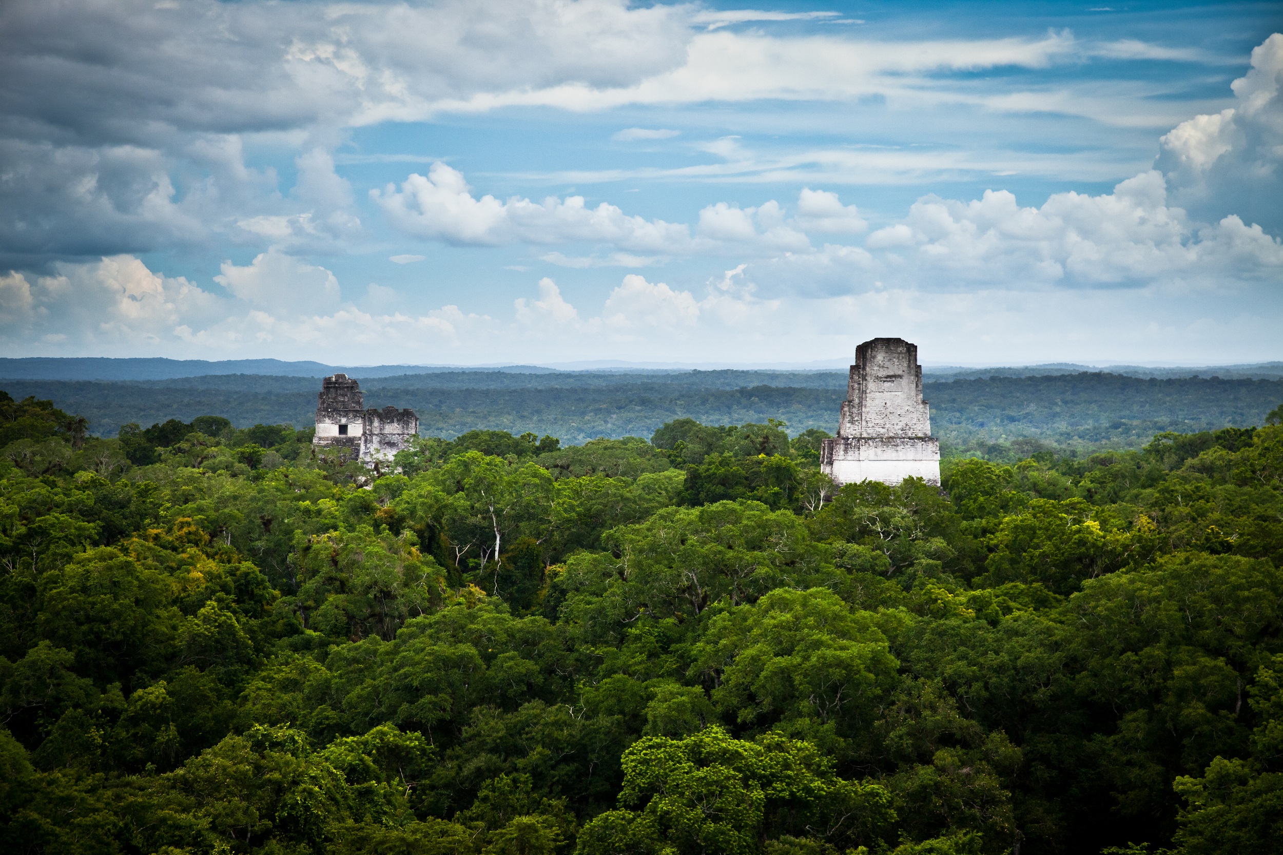 The magnificent Maya Biosphere Reserve