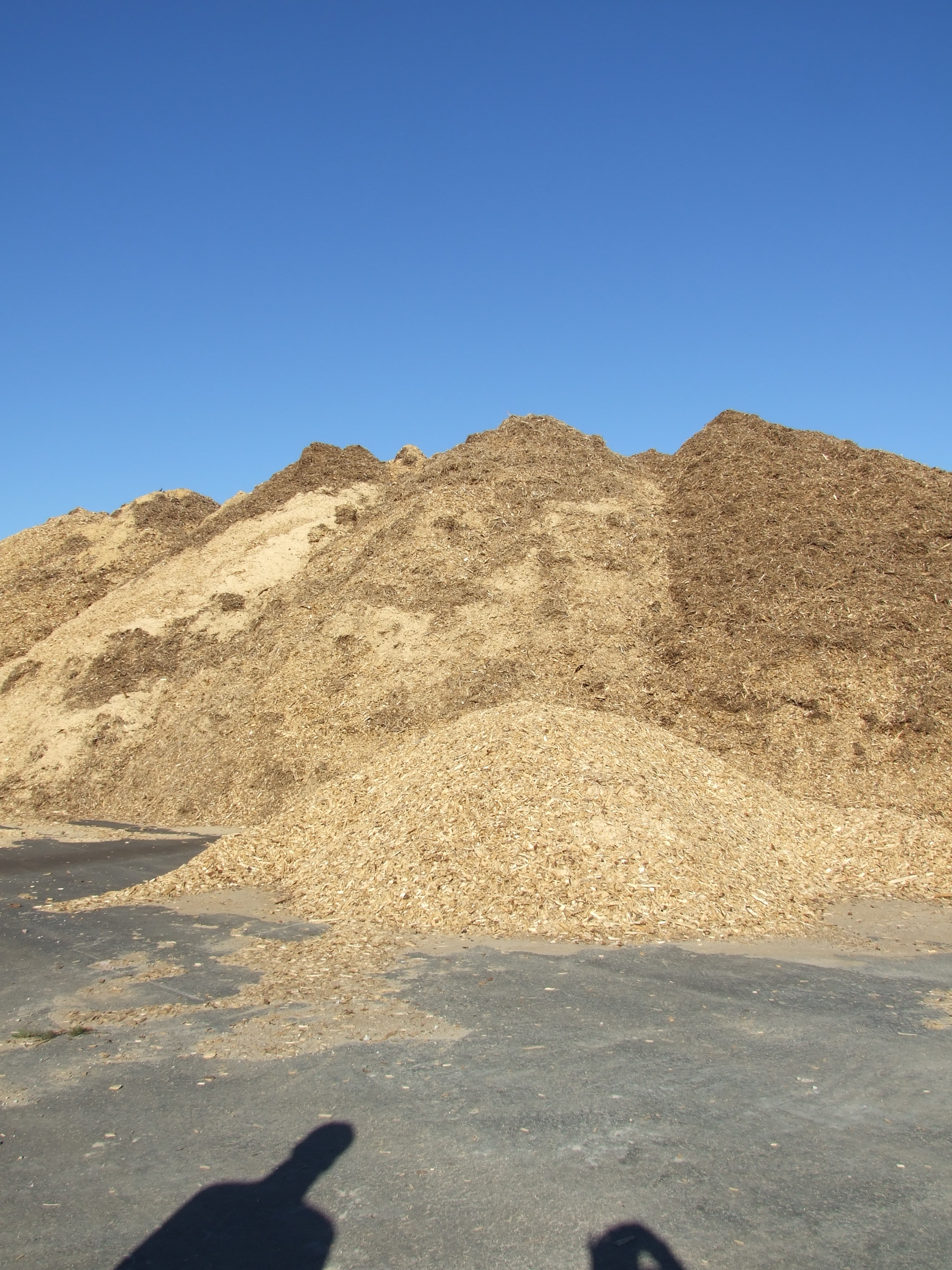 Wood chips