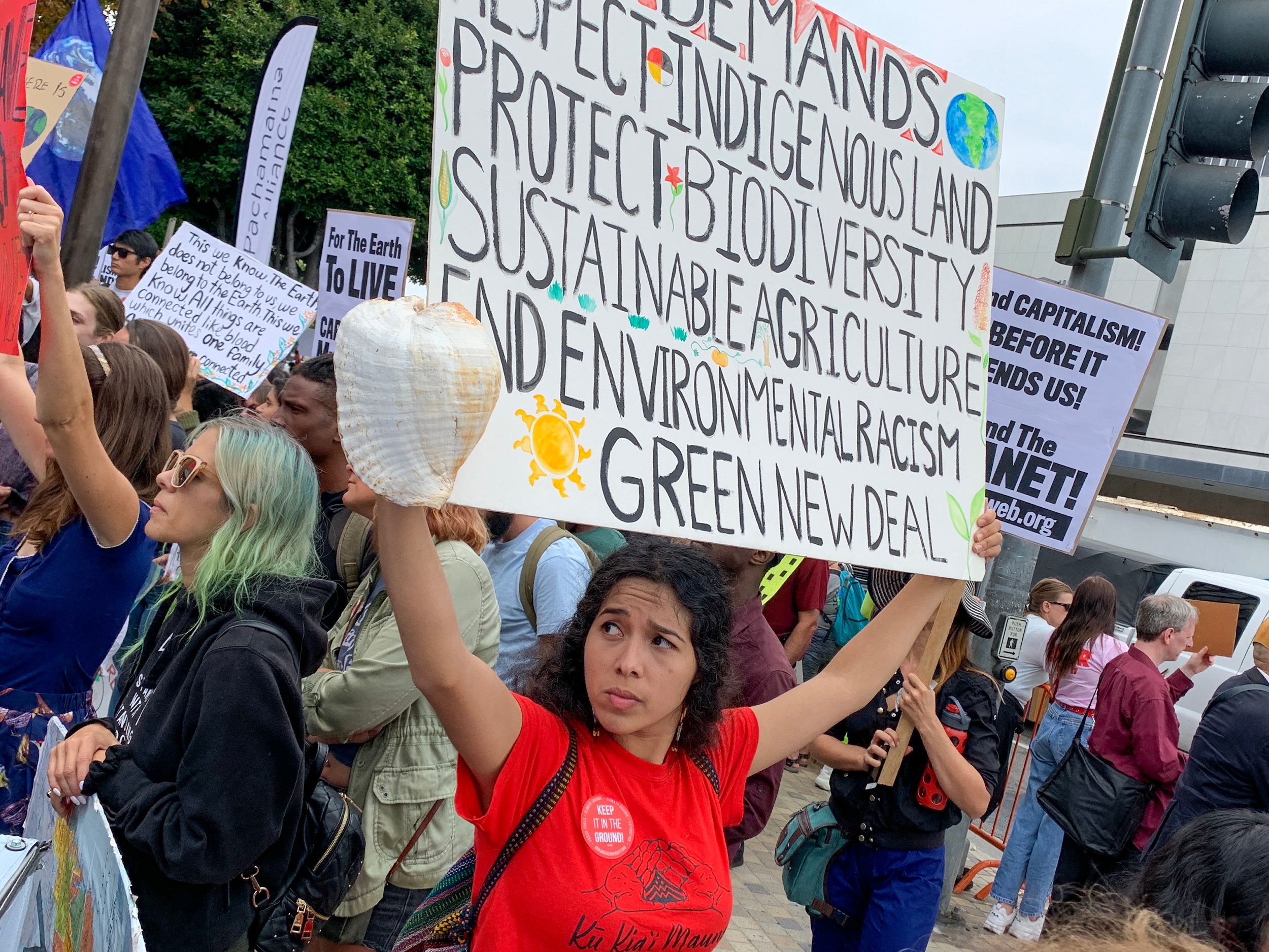 Climate protest