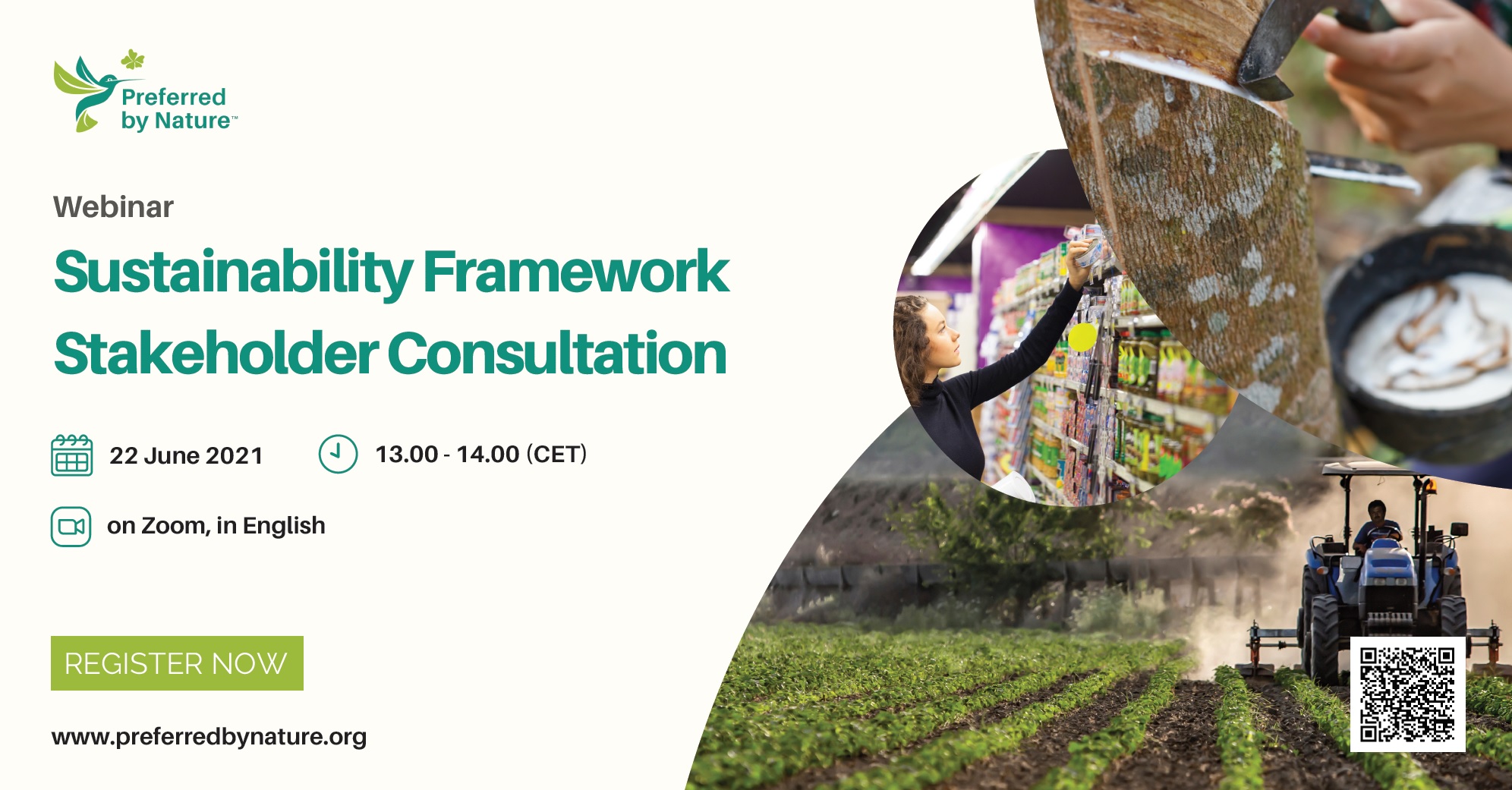 Consultation webinar
