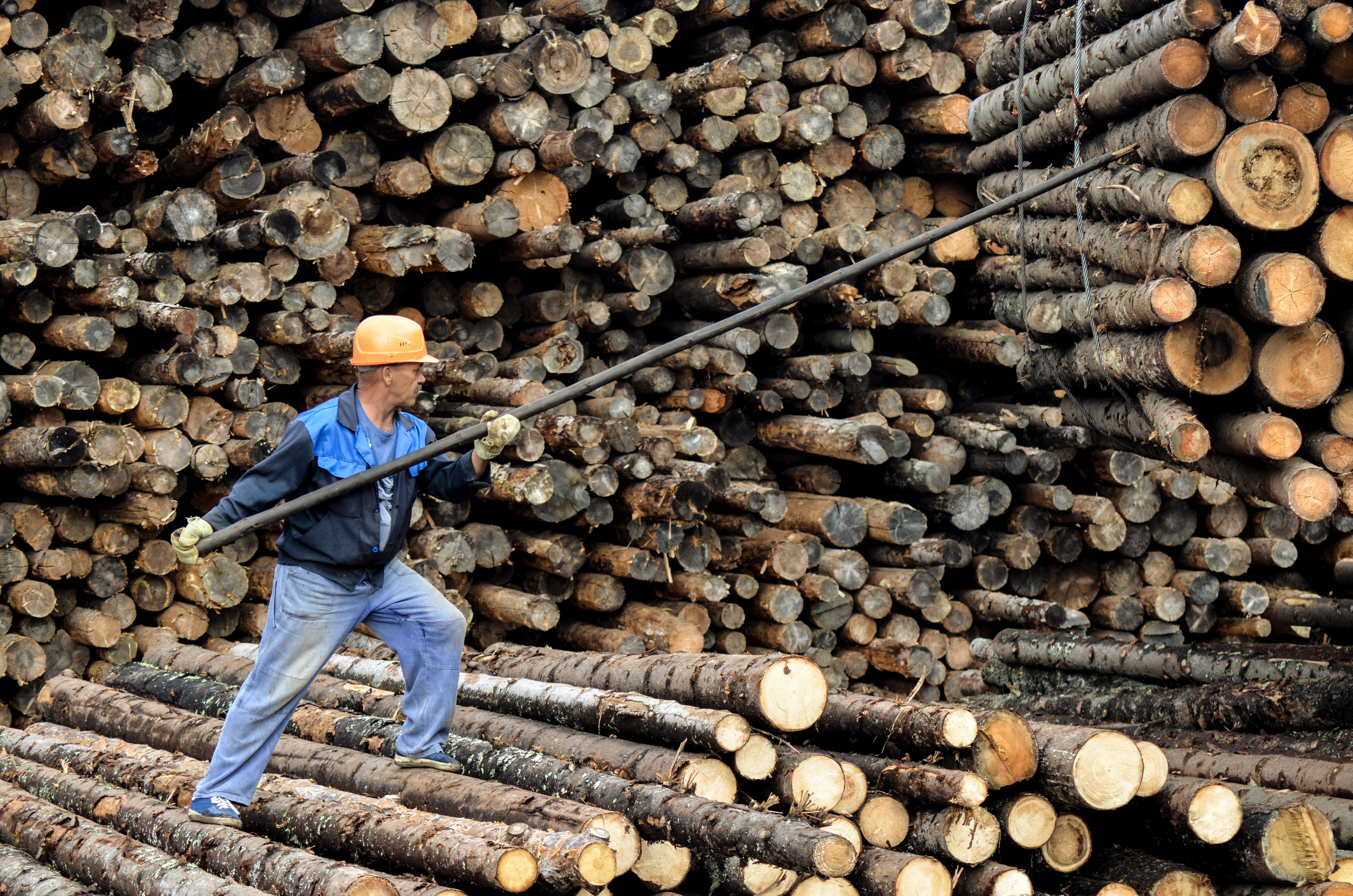 Russia has recently implemented new measures to increase transparency on timber legality.