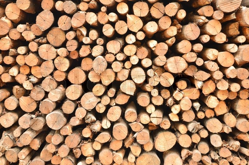 Logs