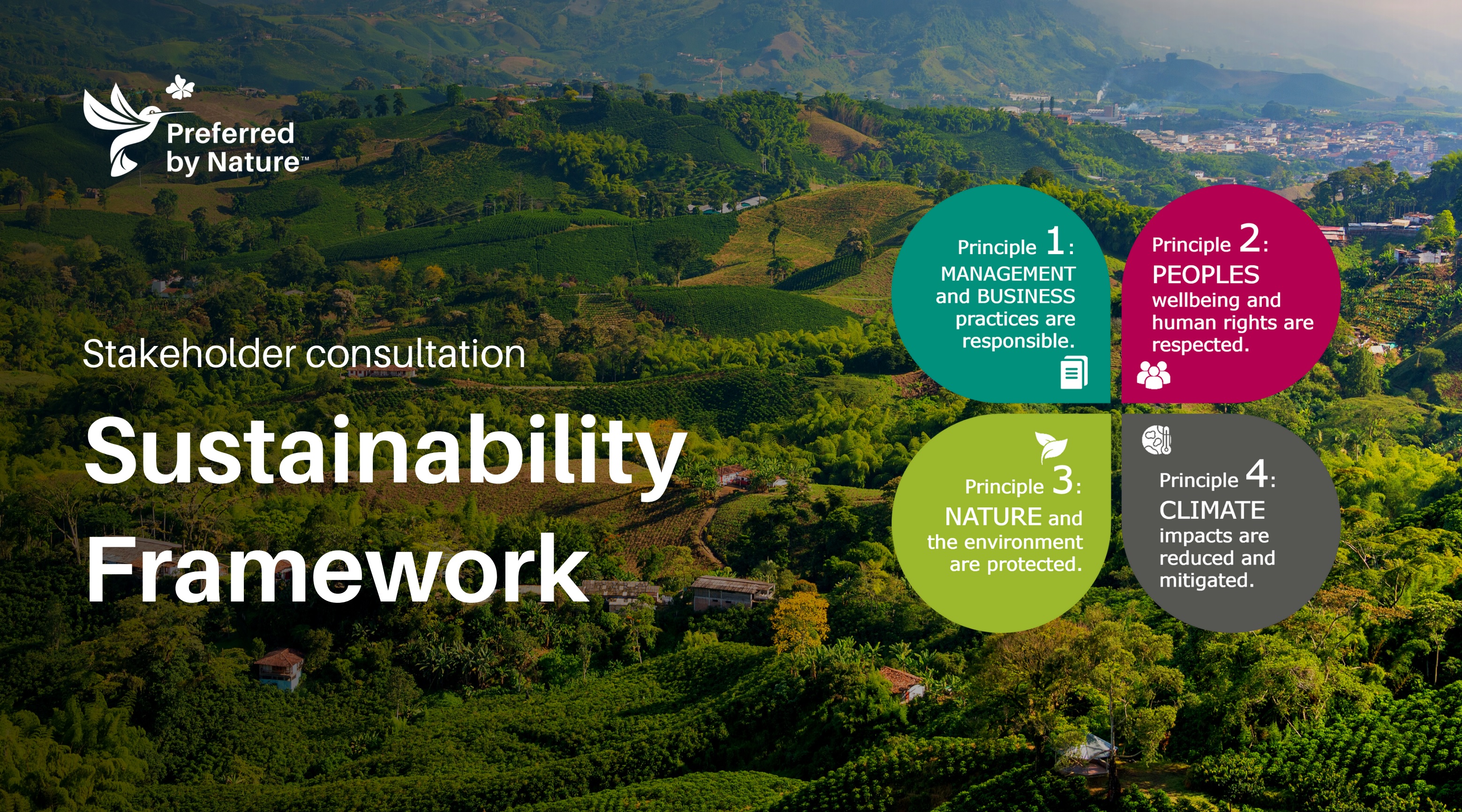 Alinierea cu EUDR: Sustainability Framework-ul dezvoltat de Preferred by Nature este acum disponibil pentru consultare publica
