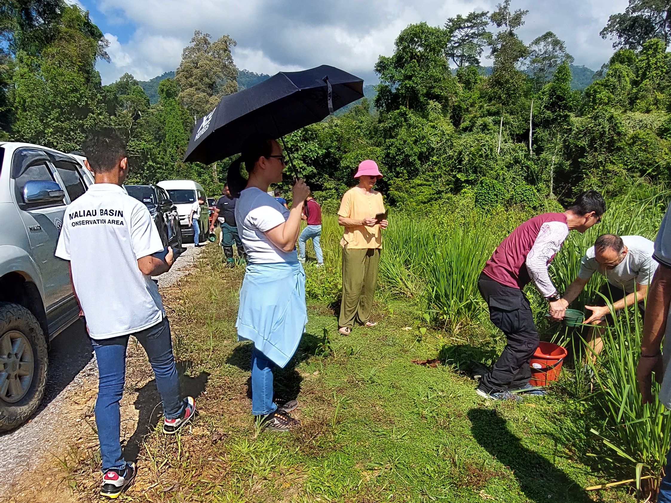 Tree planting activity