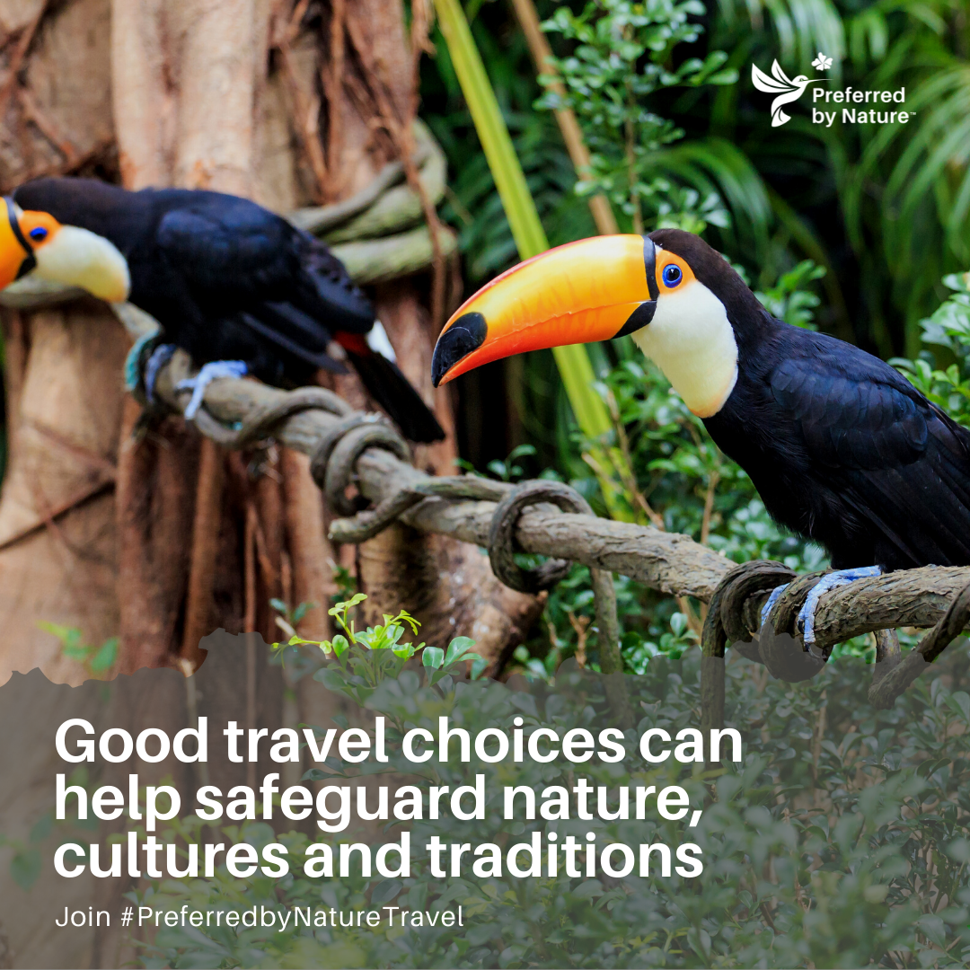 Good travel choices can help safeguard nature, cultures and traditions.