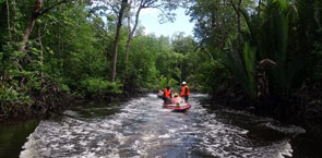 Auditors in a boat