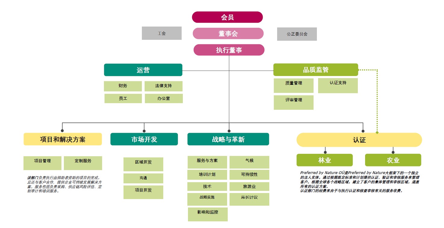 organisational chart