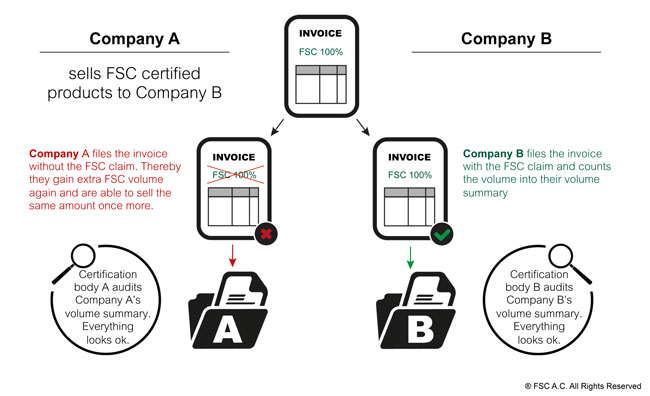 FSC-claim-fraud-illustration.jpg