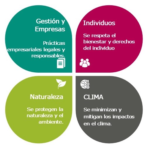 Sframework SPA
