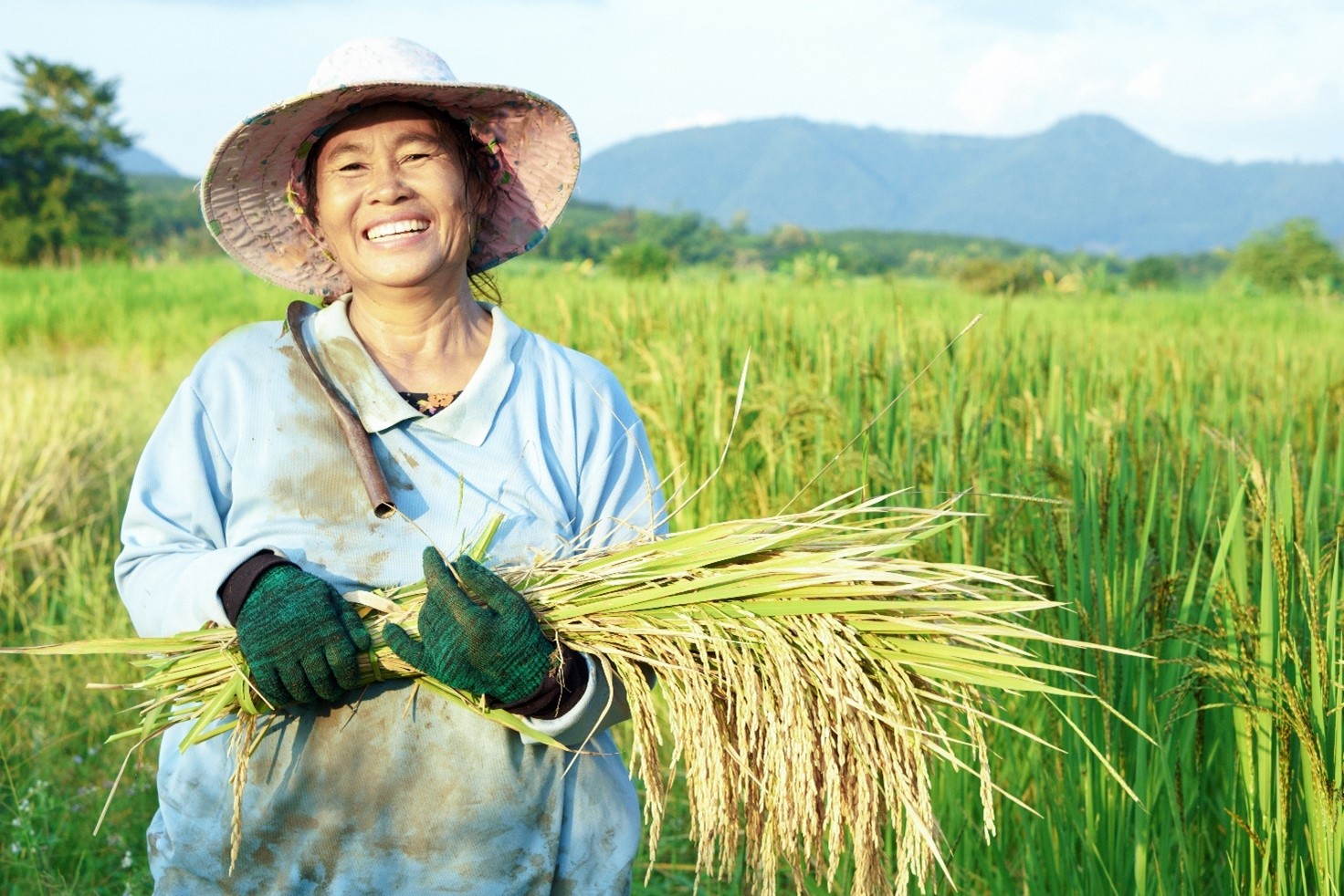 Indonesia rice farmer