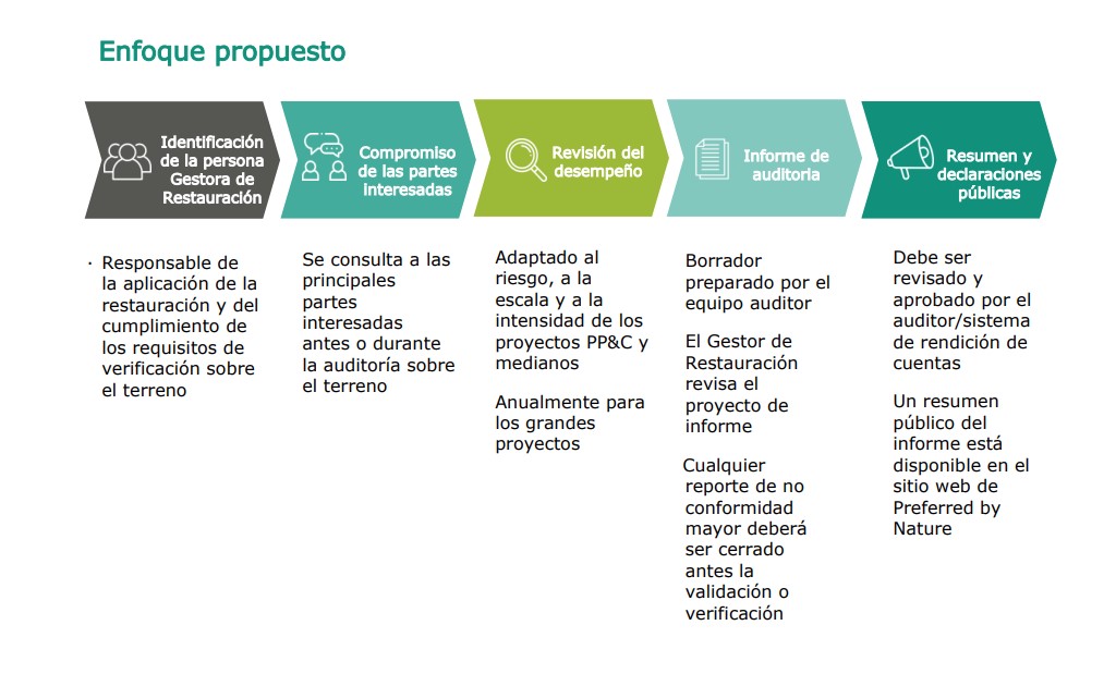 Proposed verification approach