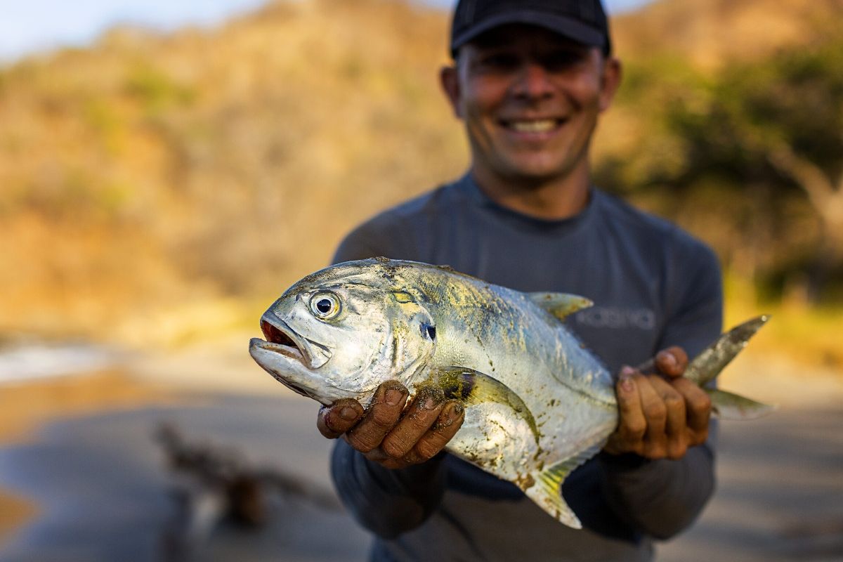 Papagayo 