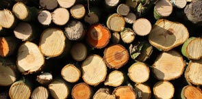 Logs