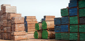 Lumber-in-colurs.jpg 