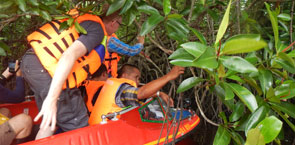 Mangrove boat