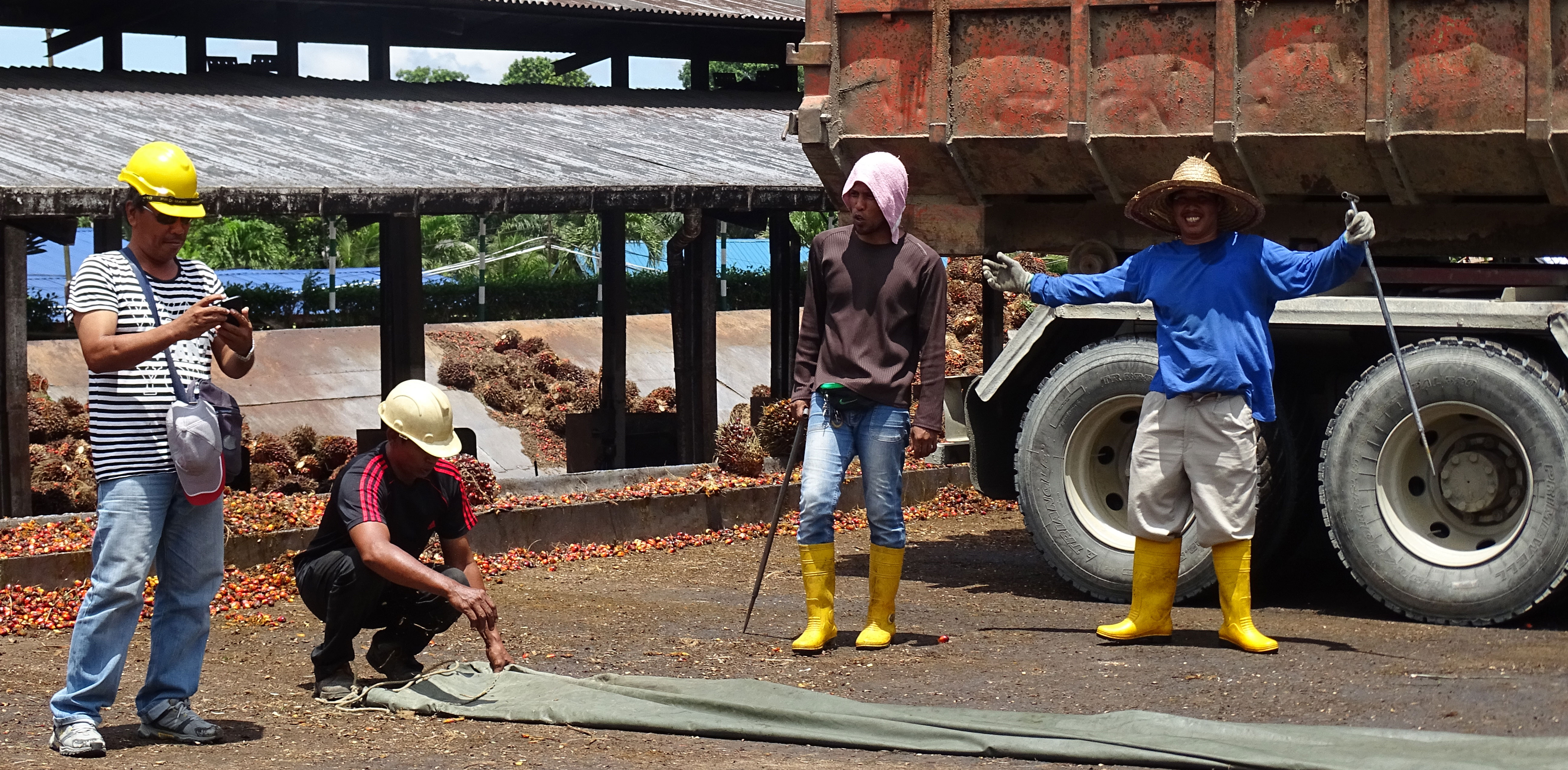 Men working at the palm oil factory