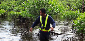 Wading through water