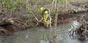 Getting muddy