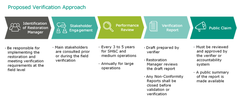 Proposed verification approach