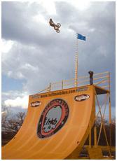 Skateboard-170.jpg 