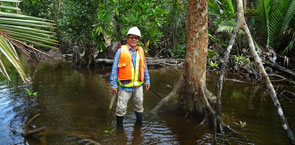 Standing in mangrove