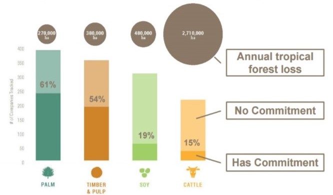 Forest Trends' Supply Change graphic