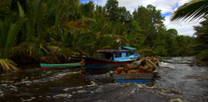 Logs floating downstream