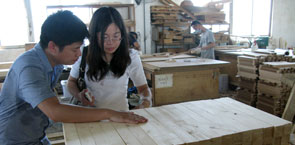 Wood industry facility in China.jpg 